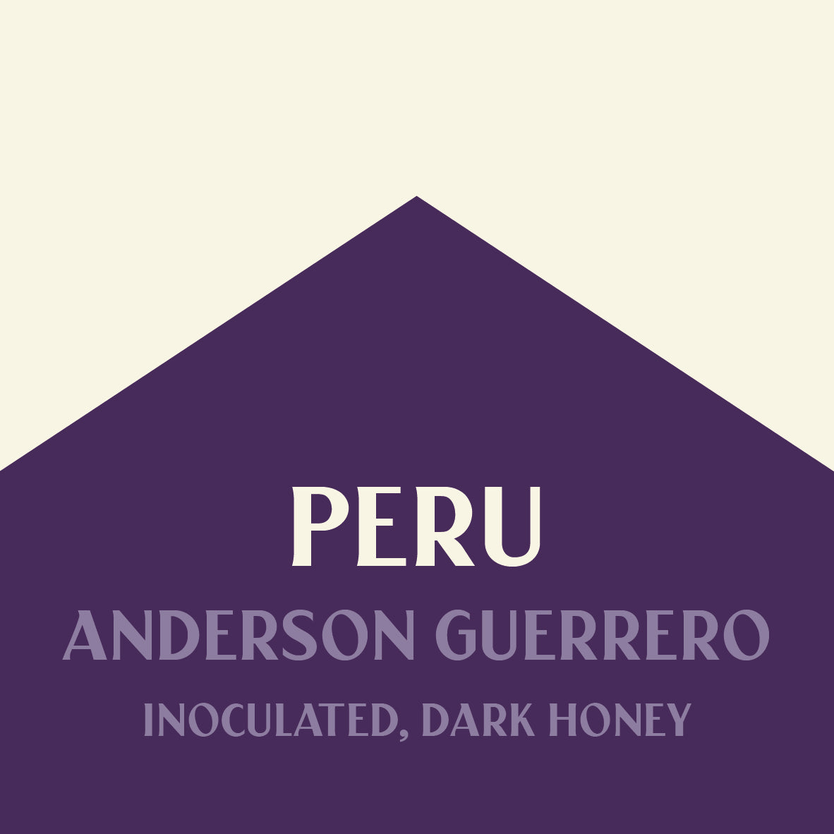 PERU ANDERSON GUERRERO