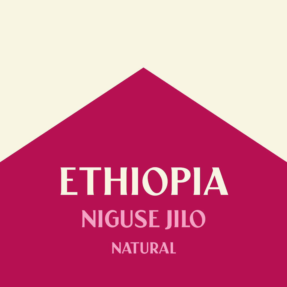 ETHIOPIA NIGUSE JILO