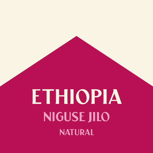 ETHIOPIA NIGUSE JILO