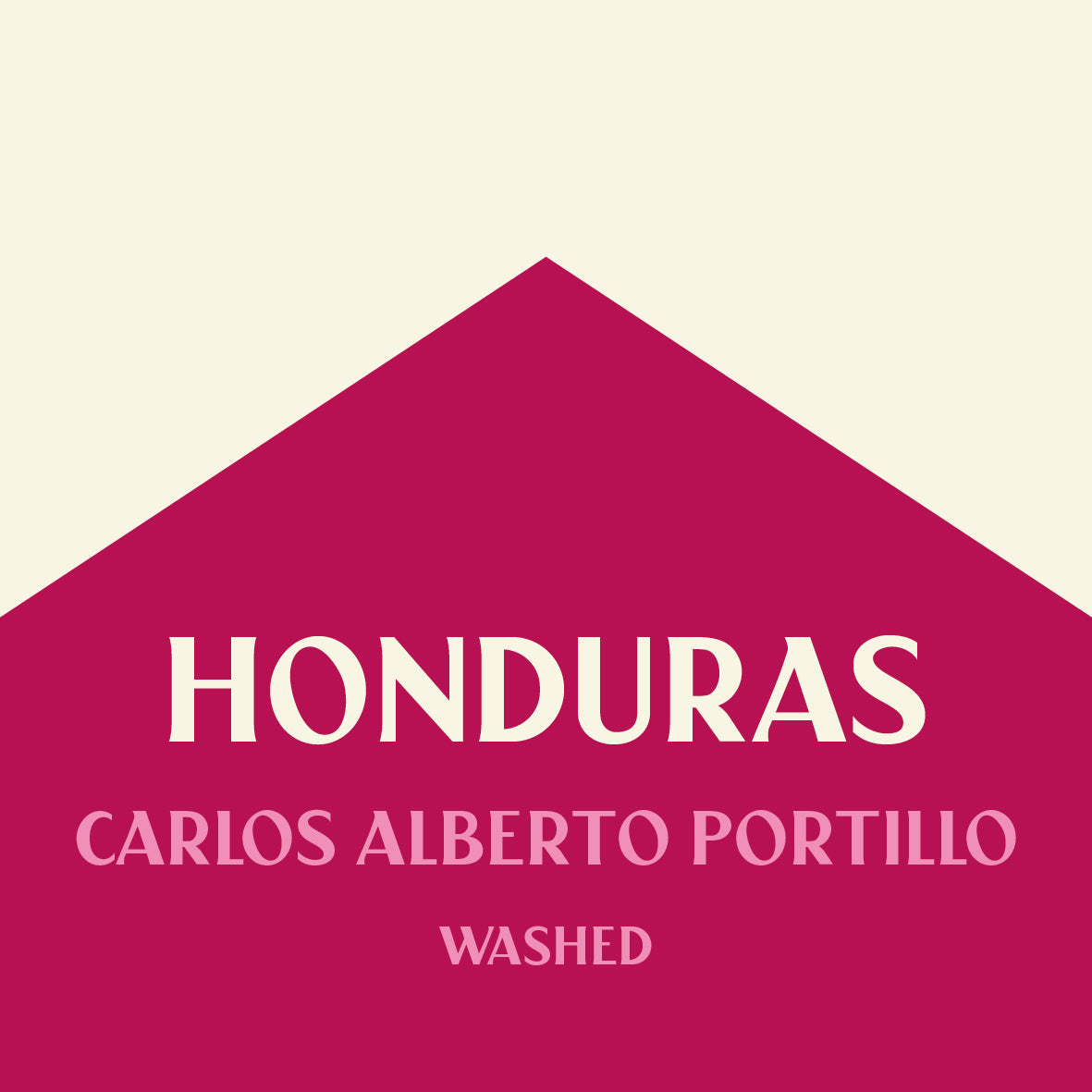 HONDURAS CARLOS ALBERTO PORTILLO