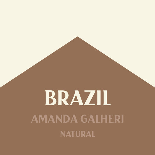 BRAZIL AMANDA GALHERI