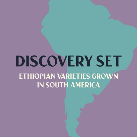 DISCOVERY SET - Retail