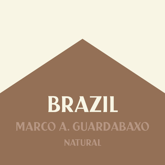 BRAZIL MARCO A. GUARDABAXO
