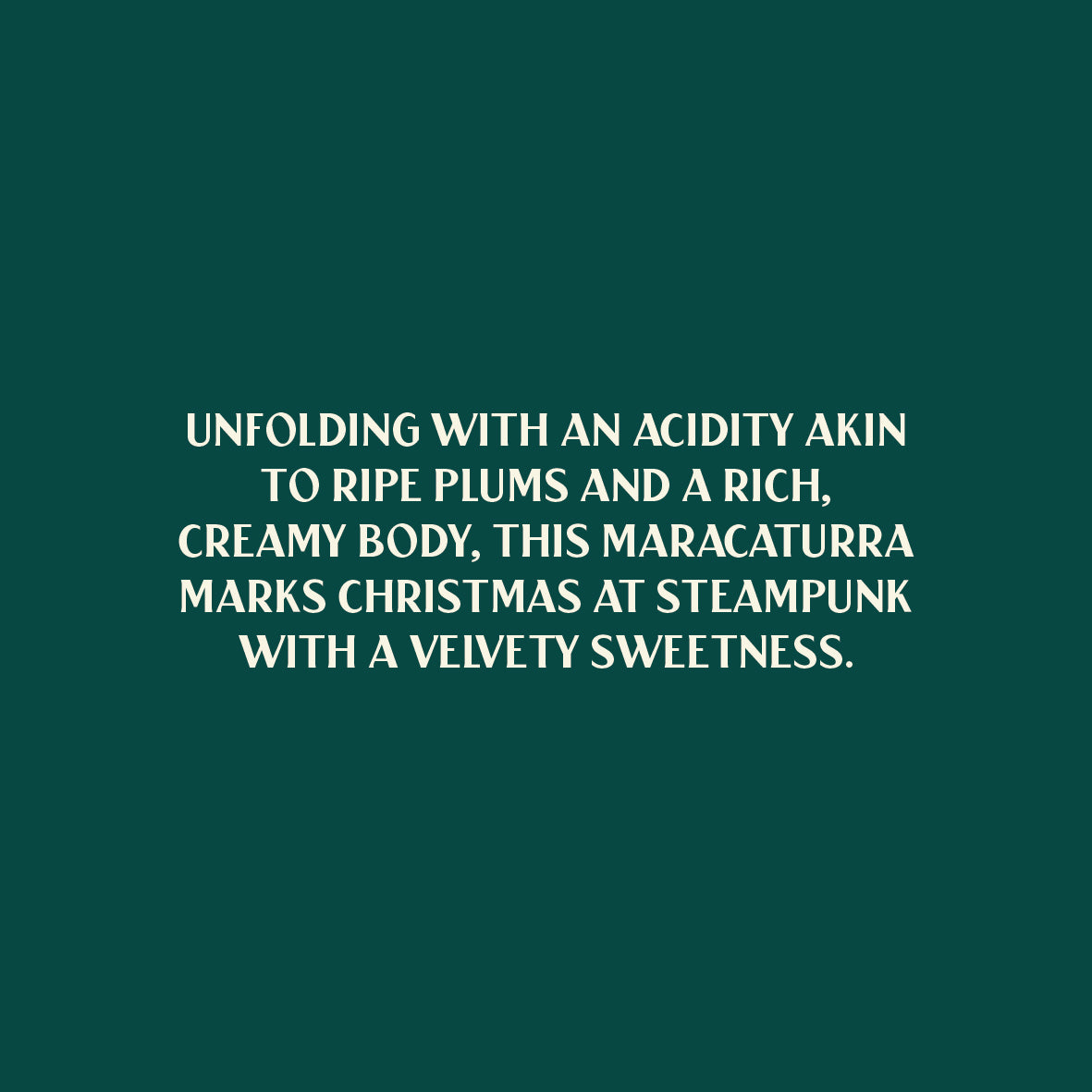 CHRISTMAS COFFEE: NICARAGUA MARTHA & ANA ALBIR